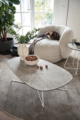 Reef fotel - myhome
